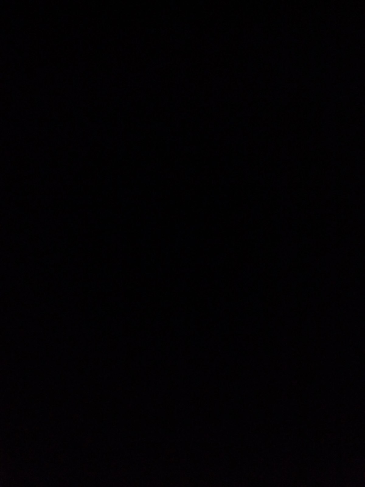 Vinicius Amador Ivoglo