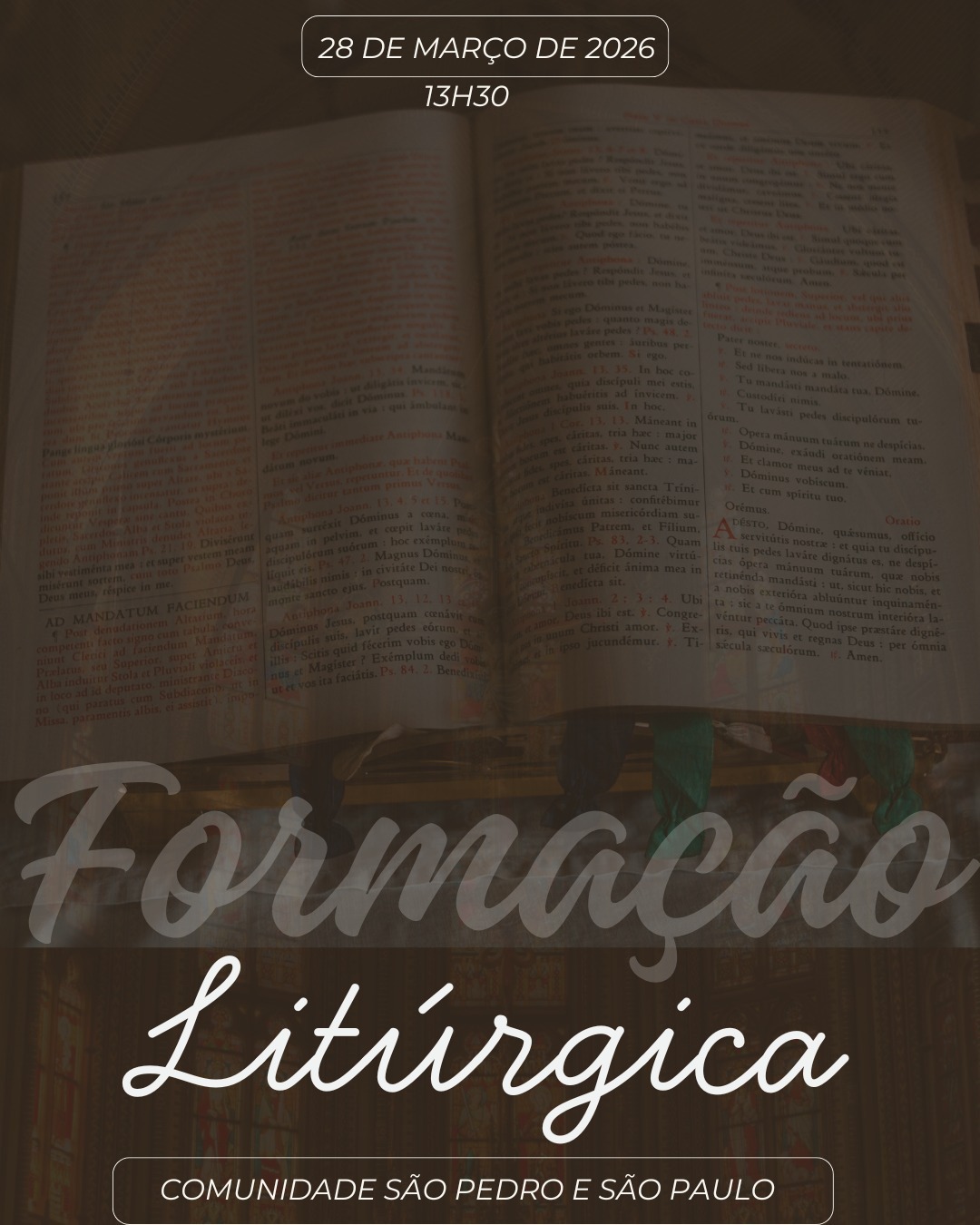 VICTORIA FERNANDES RIBEIRO